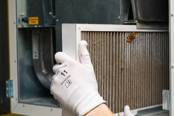 Best Air Duct Sanitizing Services  in Risg Sun, IN