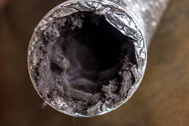 Best General Air Duct Cleaning  in Risg Sun, IN
